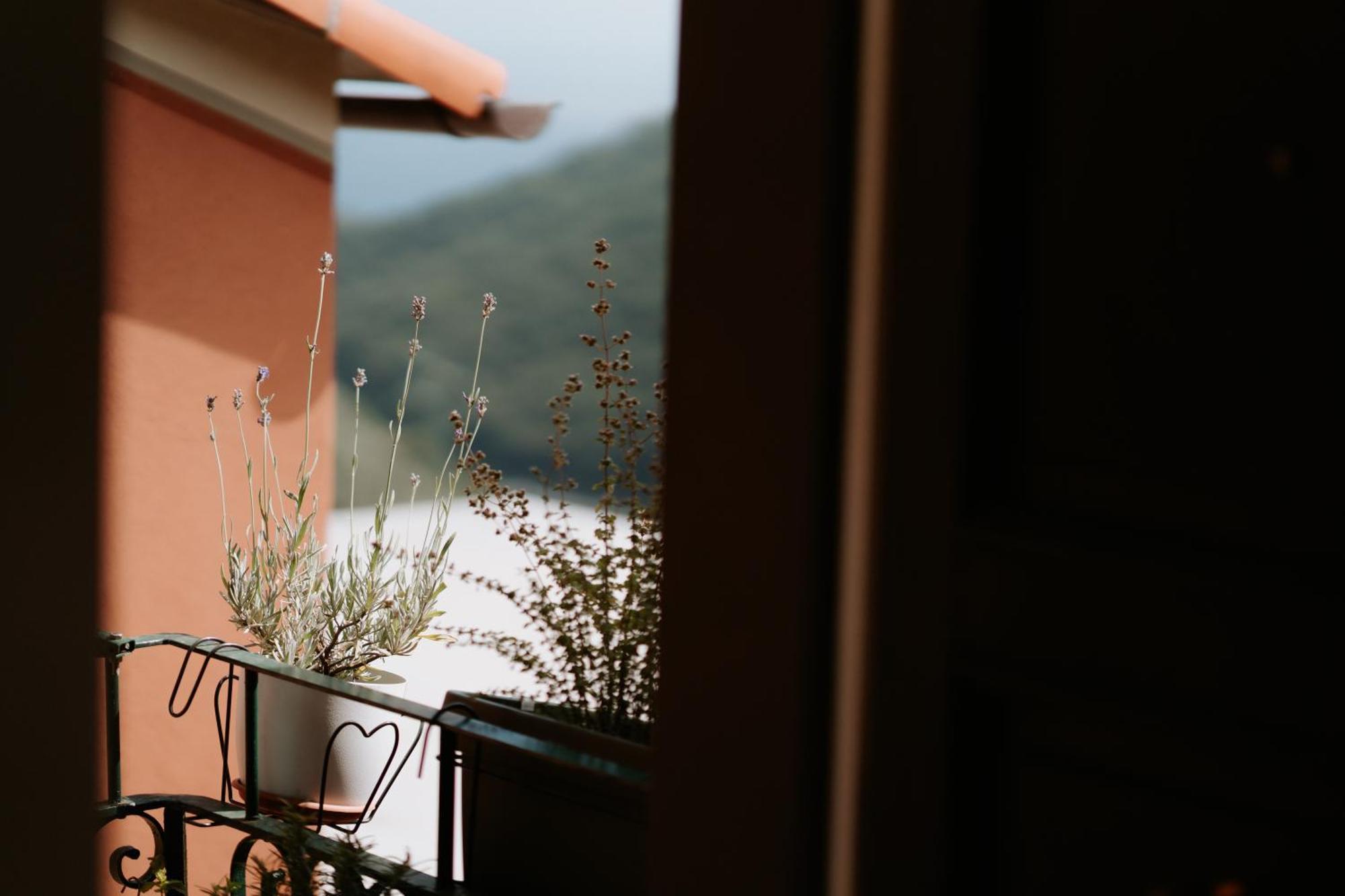 Il Castagno Holiday Home Teriasca Екстериор снимка
